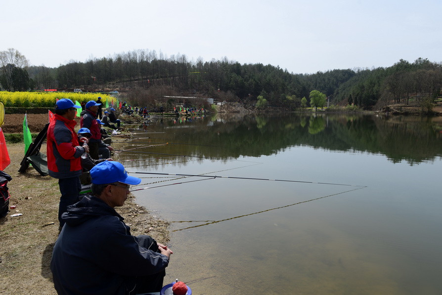 汉中市老体协2017年"金沙湖杯"钓鱼比赛 在洋县成功举办